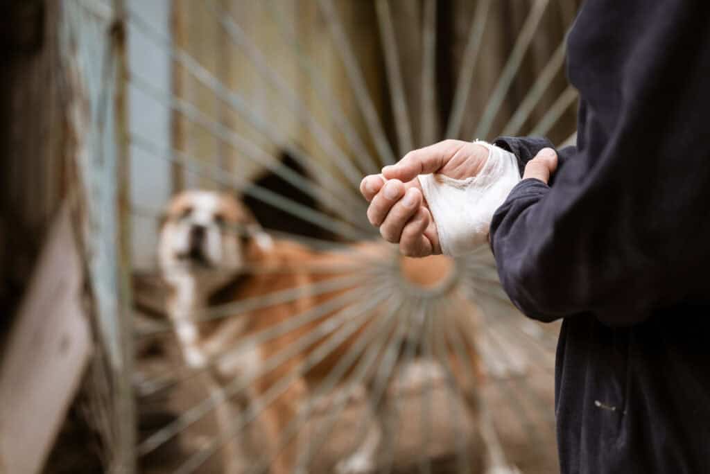 man with bandaged hand standing outside a gate with a dog behind it