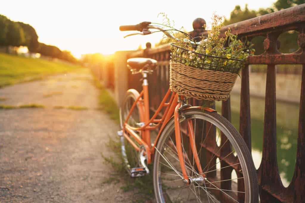 Bicycle on the road